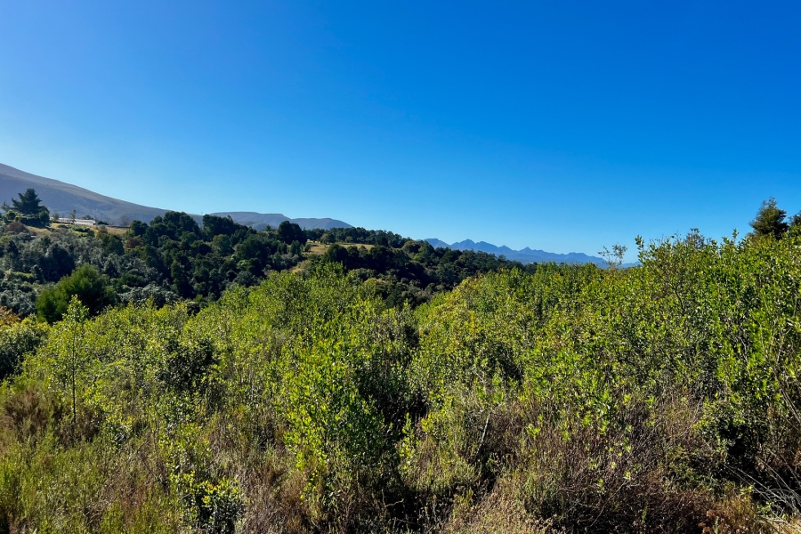  Bedroom Property for Sale in Wilderness Heights Western Cape